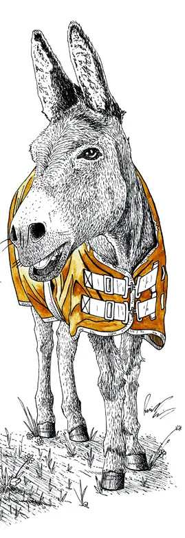 شورش الاغ ها خر وکتور